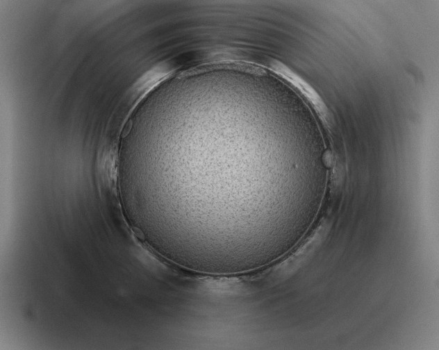 X0000116810809200912311954