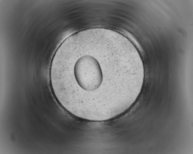 X0000116810810200912311954