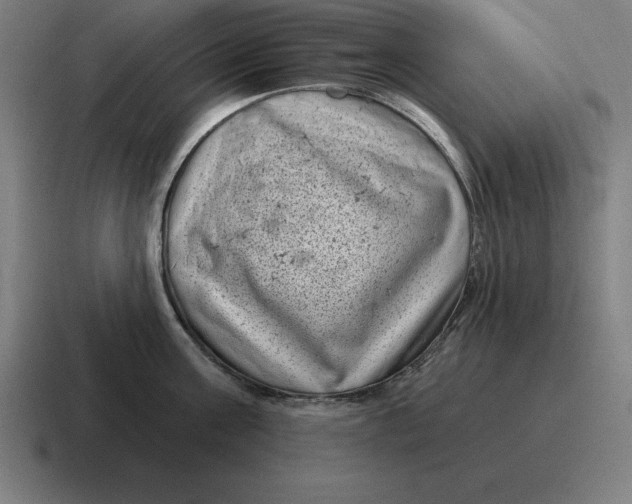 X0000116810811200912311954