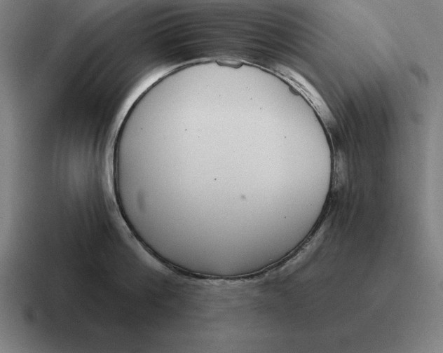 X0000116810812200912311954