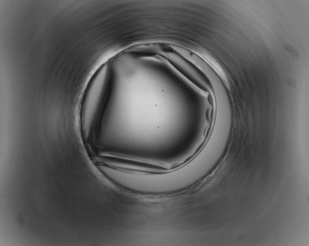 X0000116810813200912311954