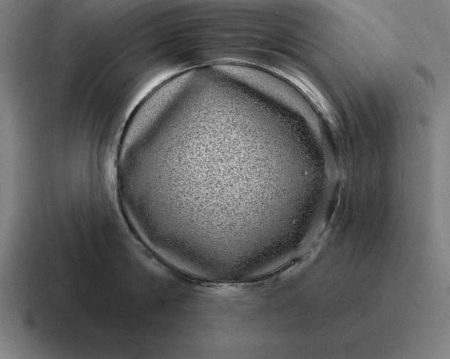 X0000116810814200912311954