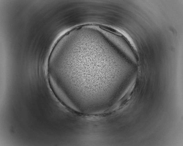 X0000116810815200912311954