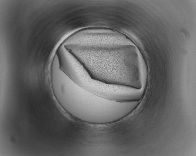 X0000116810816200912311954