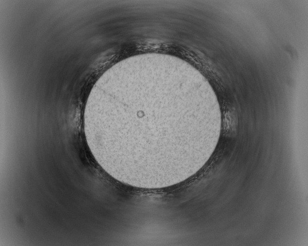 X0000116810820200912311954