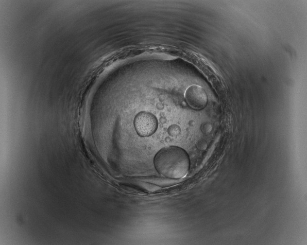 X0000116810821200912311954