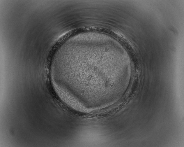 X0000116810822200912311954