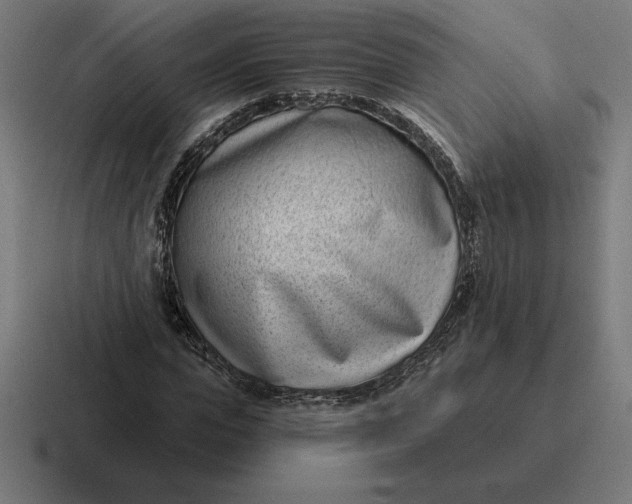 X0000116810823200912311954