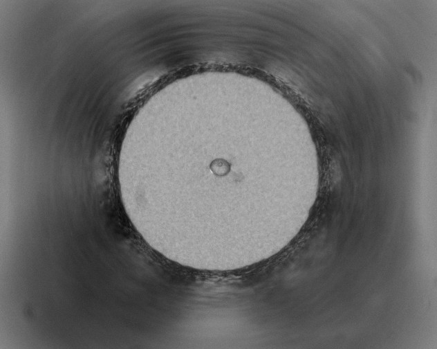 X0000116810824200912311954