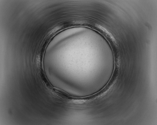 X0000116810825200912311954