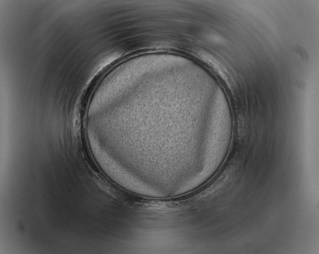 X0000116810827200912311954