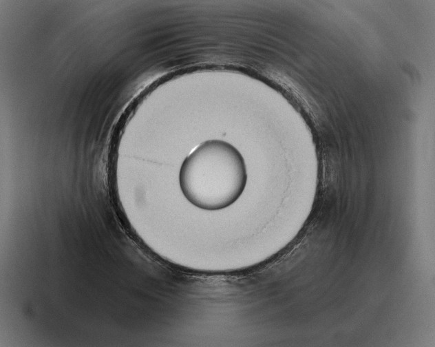 X0000116810828200912311954