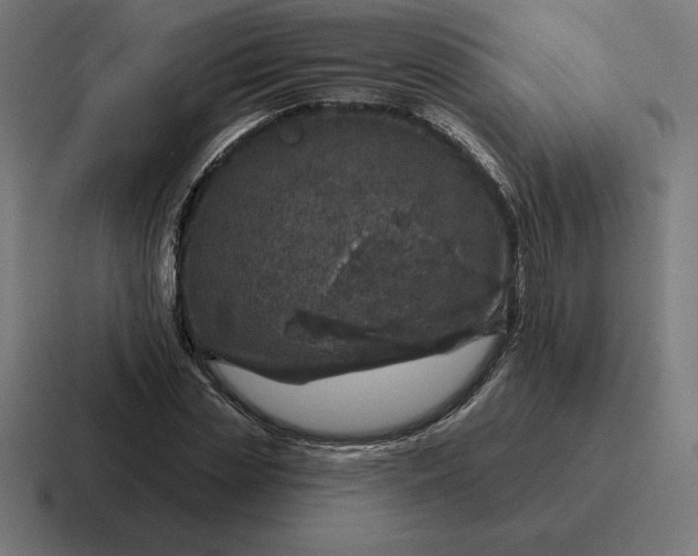 X0000116810829200912311954