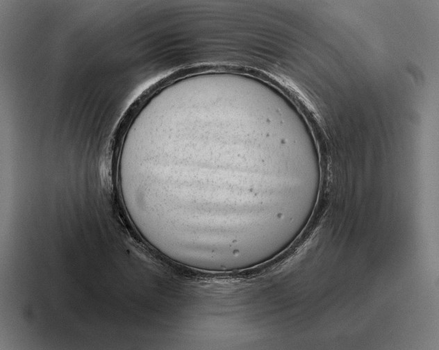 X0000116810830200912311954