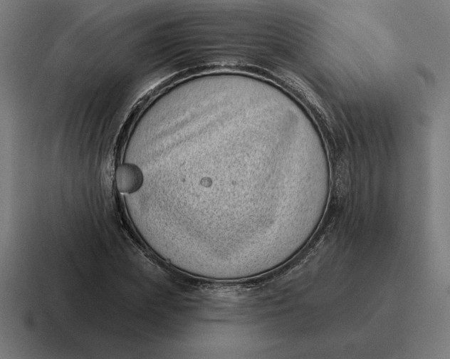 X0000116810831200912311954