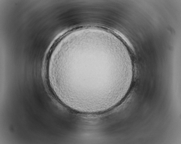 X0000116810832200912311954