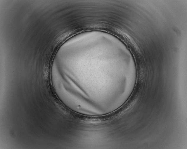 X0000116810833200912311954