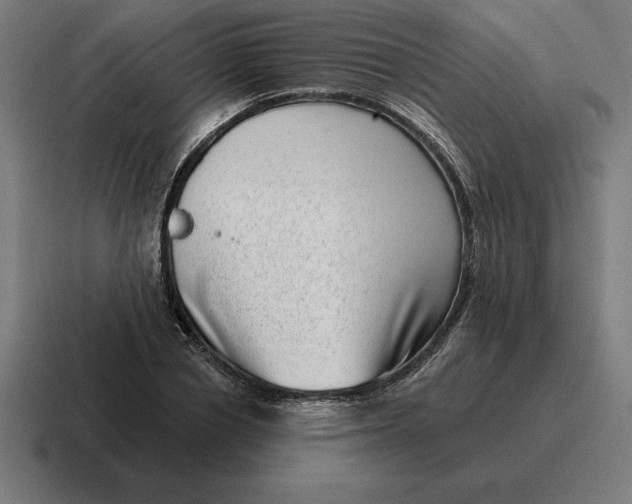 X0000116810834200912311954