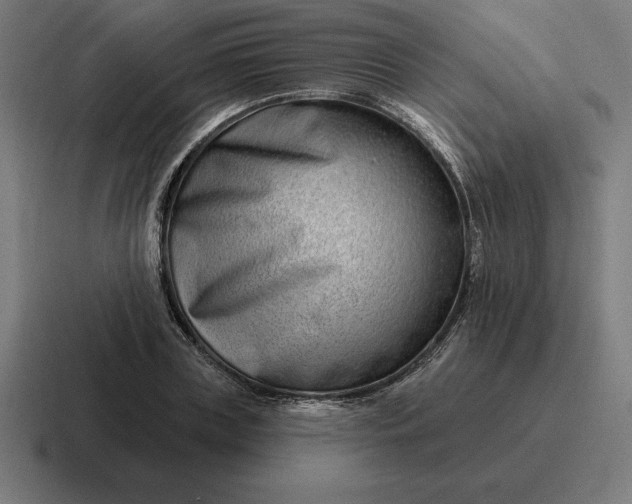 X0000116810835200912311954