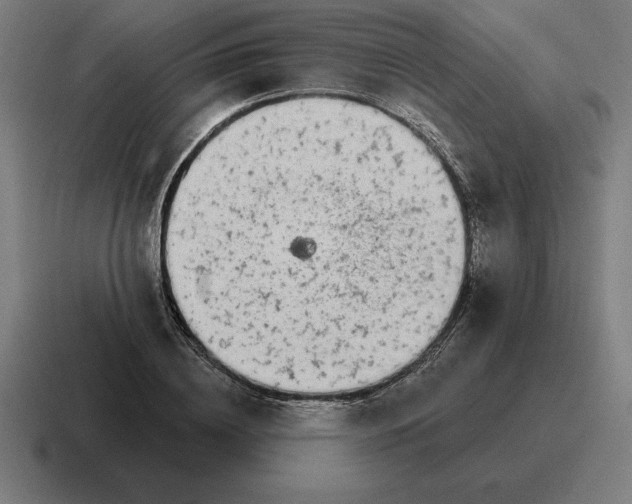 X0000116810836200912311954