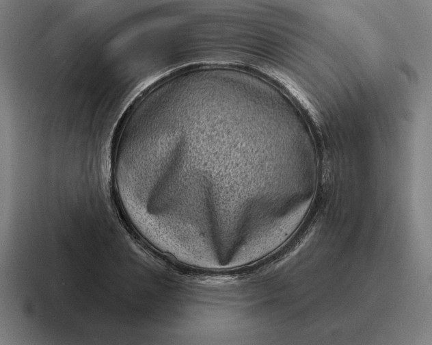 X0000116810837200912311954