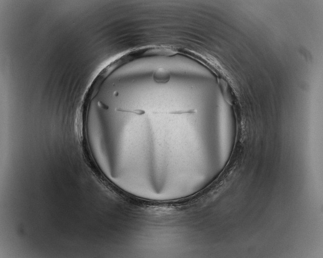 X0000116810838200912311954