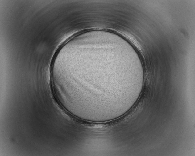 X0000116810839200912311954