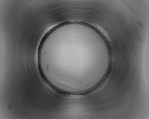 X0000116810840200912311954