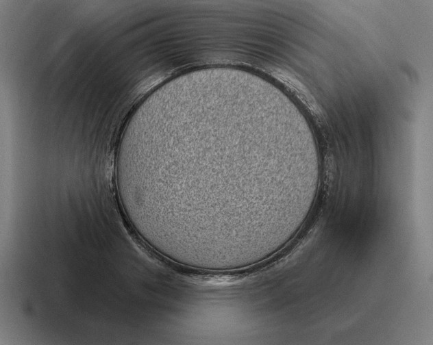 X0000116810841200912311954