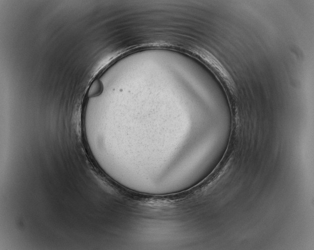 X0000116810842200912311954