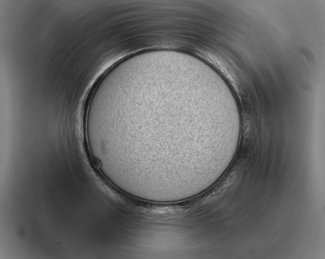 X0000116810843200912311954