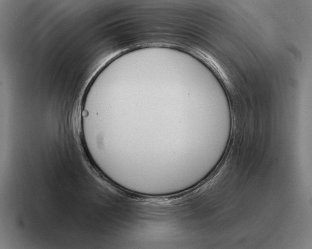 X0000116810844200912311954