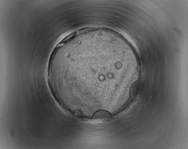 X0000116810845200912311954