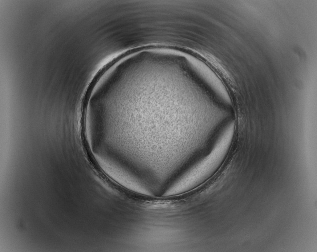 X0000116810846200912311954