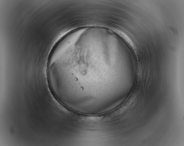 X0000116810847200912311954