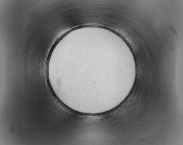 X0000116810848200912311954