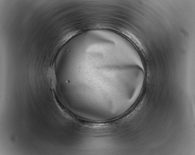 X0000116810849200912311954