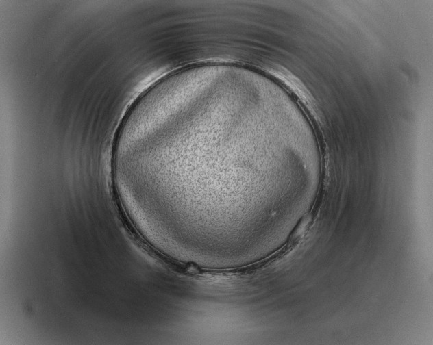 X0000116810850200912311954