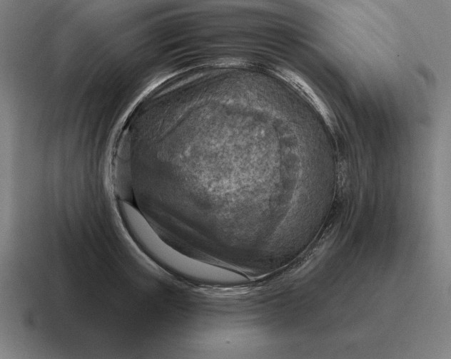 X0000116810851200912311954