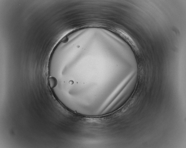 X0000116810852200912311954