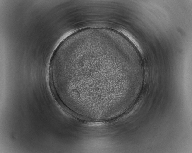 X0000116810853200912311954