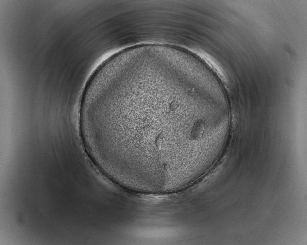 X0000116810854200912311954