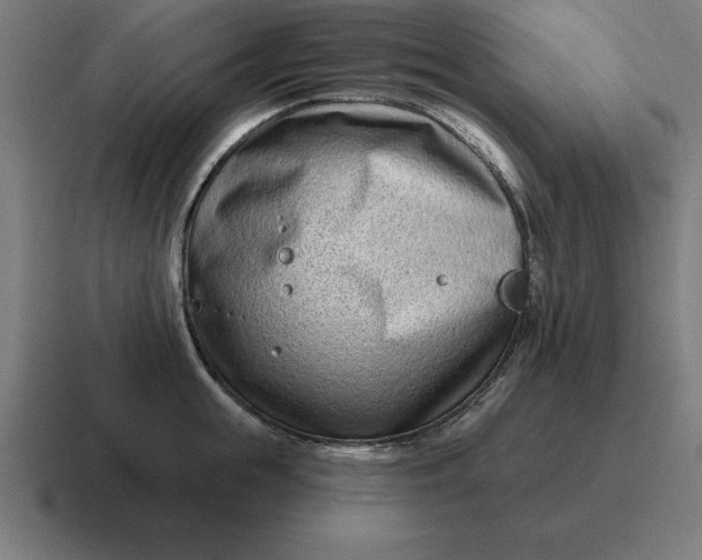 X0000116810855200912311954