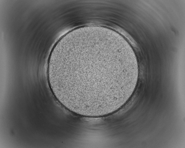 X0000116810856200912311954