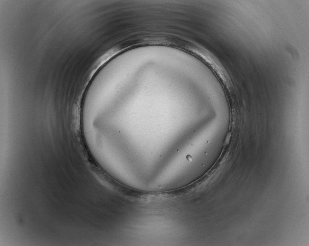 X0000116810858200912311954