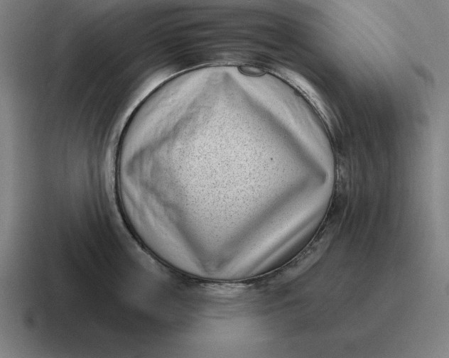 X0000116810859200912311954