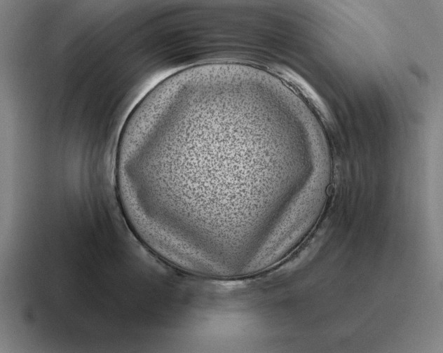 X0000116810860200912311954