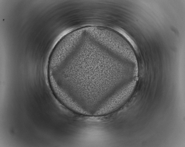 X0000116810861200912311954