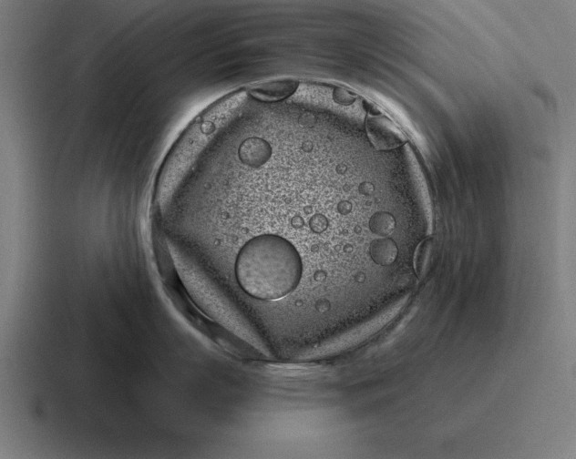 X0000116810863200912311954