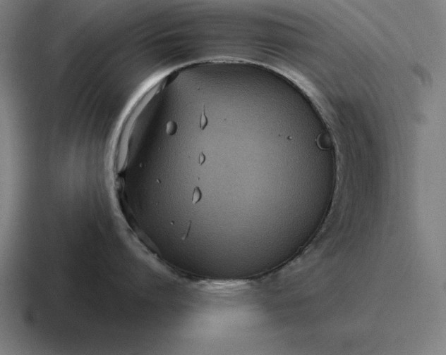 X0000116810864200912311954